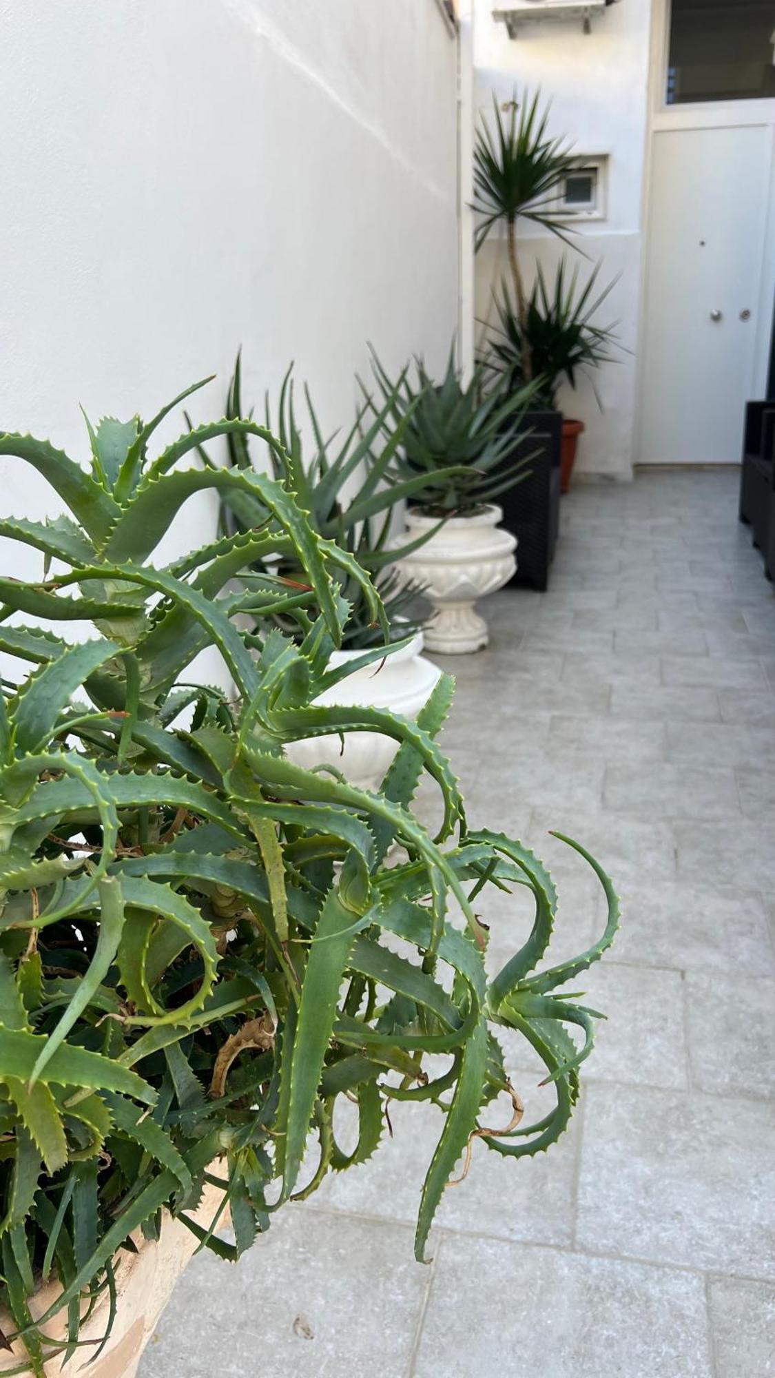 Casa Myda Apartment Bari Exterior photo